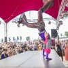 Foto  op Milkshake Festival 2017