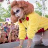 Foto  op Milkshake 2017