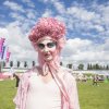  foto Milkshake 2017