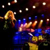 Foto Stonegood te Dicky Woodstock