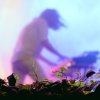 Crystal Fighters foto Sziget 2017 - Zaterdag