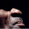 Foto Chuck Berry te Chuck Berry - 18/11 - 013