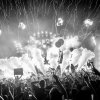 Yellow Claw