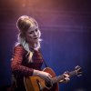 The Common Linnets foto Tuckerville 2017