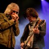 Foto The Yardbirds te Bluesrock Tegelen 2017