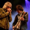 The Yardbirds foto Bluesrock Tegelen 2017