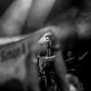 Foto Nick & Simon te Stöppelhaene 2017 - Vrijdag