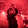 The Veils