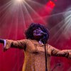 Foto Michelle David te Ramblin' Roots 2017