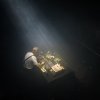 Foto Palmbomen II te Amsterdam Dance Event 2017 - Woensdag