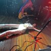 Foto Starcrawler te London Calling #2 2017 - Zaterdag
