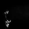 Foto Boyce Avenue te Boyce Avenue - 30/10 - Melkweg