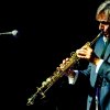 Foto The Dire Straits Experience te The Dire Straits - 5/11 - Paard