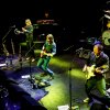 Foto The Dire Straits Experience te The Dire Straits - 5/11 - Paard