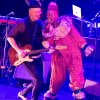 foto Celebrating David Bowie - 17/1 - TivoliVredenburg