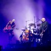 Triggerfinger foto Paaspop Schijndel 2018 - Zondag