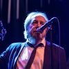 Foto The Pretty Things te The Pretty Things - 13/04 - Paard