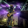 Foto Tusky te Bevrijdingsfestival Utrecht 2018