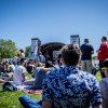 Luwten foto Bevrijdingsfestival Utrecht 2018