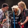 Foto Mother's Finest te Mothers Finest - 20/05 - Luxor Live