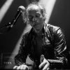 Foto Circle te Circle - 23/05 - Paard