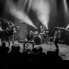 Foto Circle te Circle - 23/05 - Paard