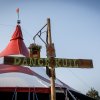 Foto  op Dauwpop 2018