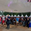 Foto op Holland International Blues Festival 2018 - Zaterdag