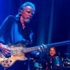 Foto Camel te Camel - 09/06 - TivoliVredenburg