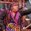 Foto Little Steven & The Disciples of Soul te Little Steven & The Disciples of Soul - 06/07 - Openlucht Theater Amsterdamse Bos
