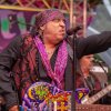 Little Steven & The Disciples of Soul foto Little Steven & The Disciples of Soul - 06/07 - Openlucht Theater Amsterdamse Bos