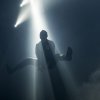 The Bloody Beetroots