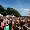 foto Fields Of Joy 2018
