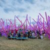 Foto  op Paleo Festival 2018