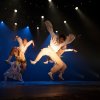 Hofesch Shechter Company foto Lowlands 2018 - Zaterdag