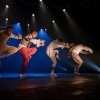 Foto Hofesch Shechter Company op Lowlands 2018 - Zaterdag