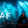 DAF foto W-festival 2018