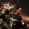 Foto Sevdaliza te Lowlands 2018 - zondag