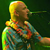 Foto Cactus Cowboys te Paaspop Schijndel 2008