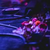 foto LANY - 15/10 - Paradiso Noord (Tolhuistuin)