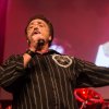 Foto The Osmonds te The Osmonds - 01/11- Gebr. de Nobel