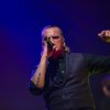 Foto De Likt te 3voor12 Song van het Jaar 2018