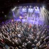 Foto IQ te IQ - 15/12 - Boerderij