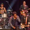  foto A Bowie Celebration - 26/01 - De Oosterpoort