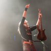 Foto Mastodon te Mastodon - 10/02 - 013