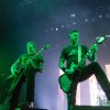 Foto Mastodon te Mastodon - 10/02 - 013