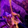 Foto The damn Truth te Paaspop 2019 - Zondag