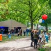 Foto op Bevrijdingsfestival Nijmegen 2019