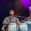 Foto Onipa te Bevrijdingsfestival Nijmegen 2019