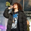 Foto Green Cabin te Bevrijdingsfestival Zuid-Holland 2019
